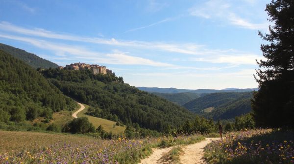 Top 10 aventures en Ardèche Cévennes : villages et randonnées